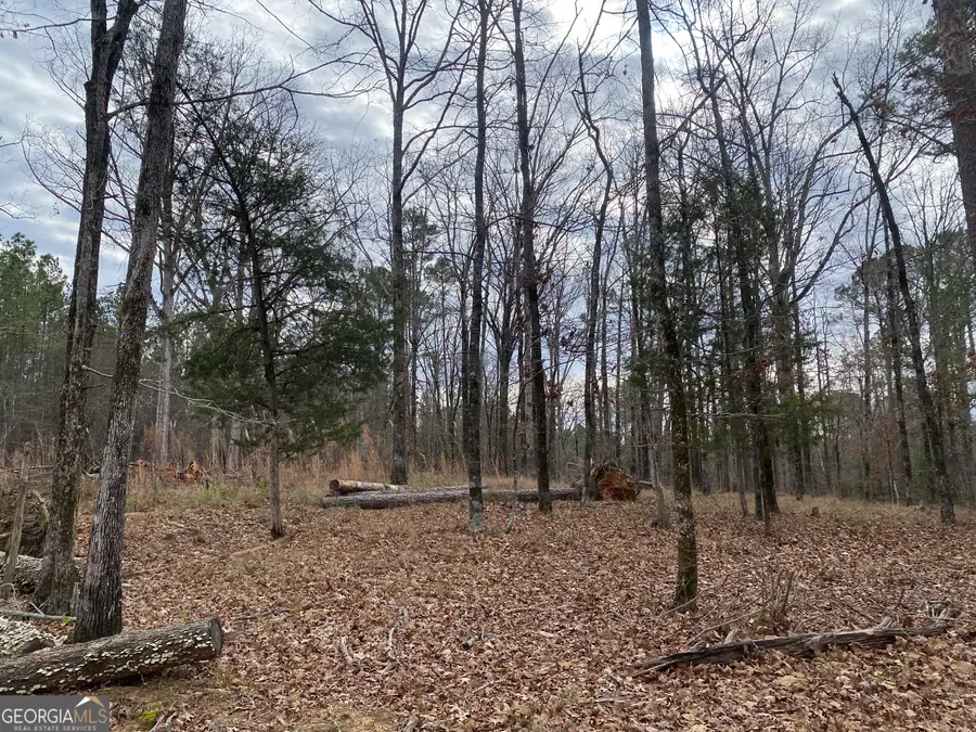 0 Paradise Street, Lincolnton, GA 30817 - #3