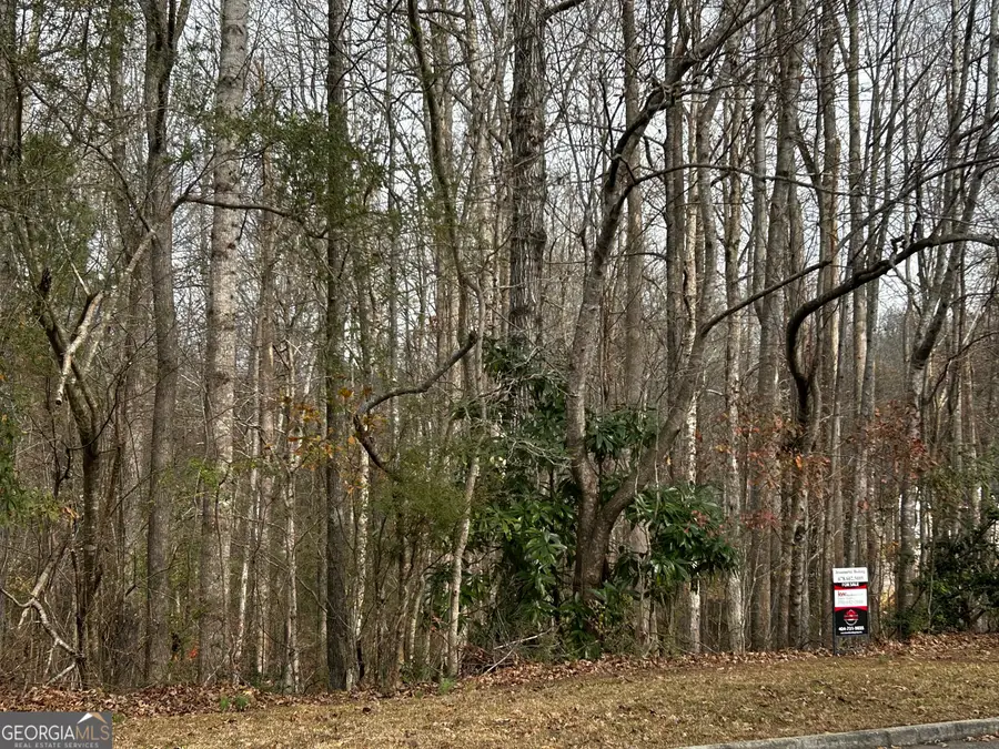 133 Four Oaks Drive, Griffin, GA 30224 - Image #3