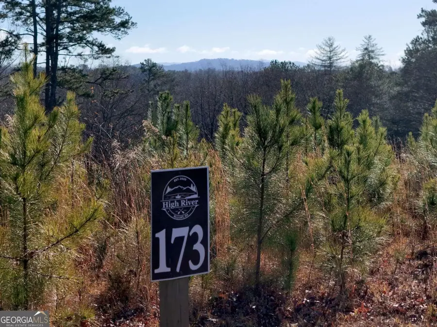 LOT 173 Lecroy Drive, Ellijay, GA 30540 - Image #3