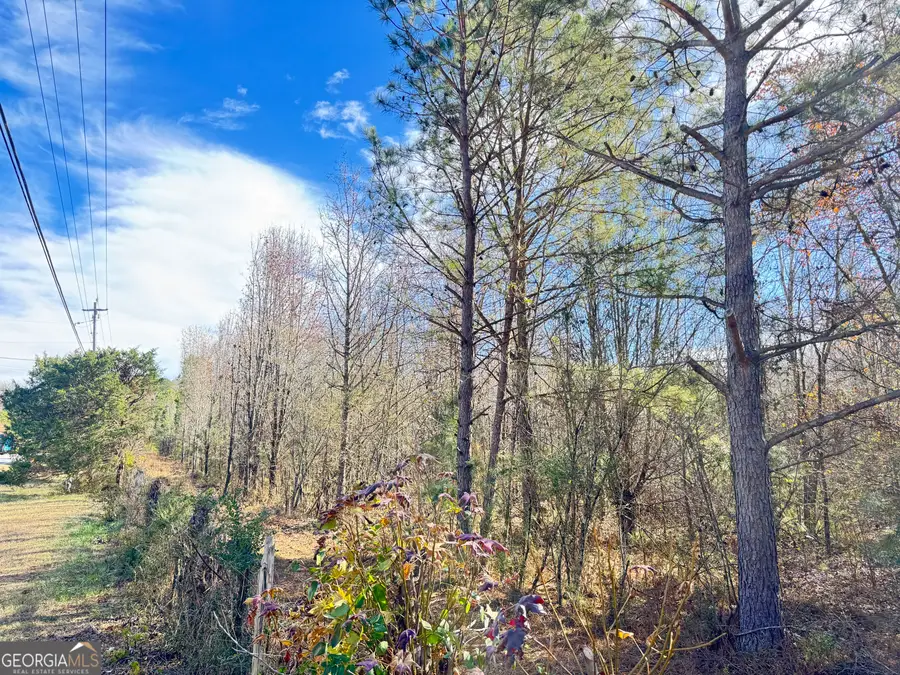 10.234 AC Harp Road, Fayetteville, GA 30215 - Image #2