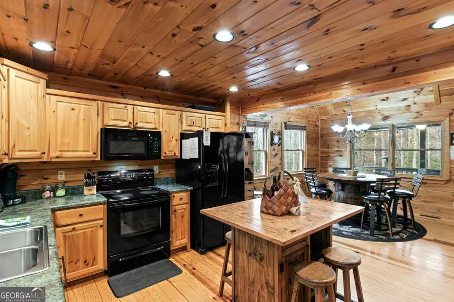 850 Mountain Lake Circle, Blue Ridge, GA 30513 - Image #3