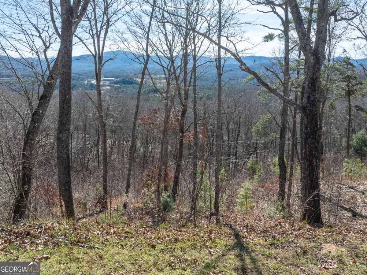 LOT 132 Highland Park, Blairsville, GA 30512 - Image #1