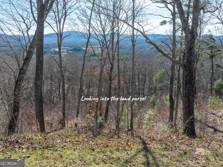 LOT 132 Highland Park, Blairsville, GA 30512 - Image #3