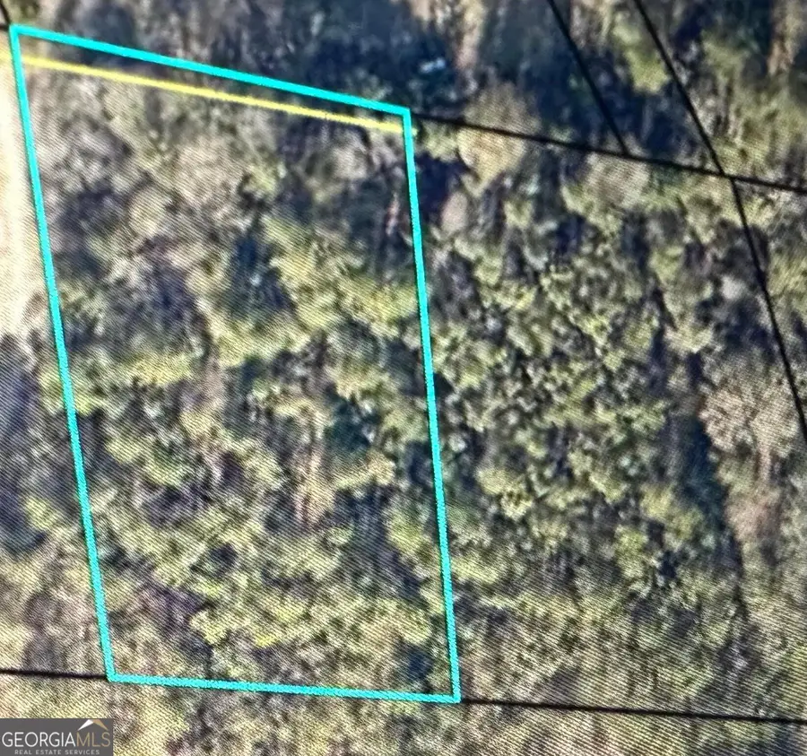 0 Jusal Lane, Dublin, GA 31021 - Image #2