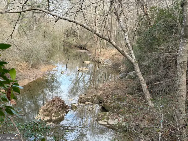 0 Armstrong Mill Road, Franklin, GA 30217