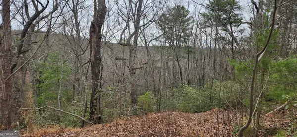 361 Vista Dell Lane, Tallulah Falls, GA 30573