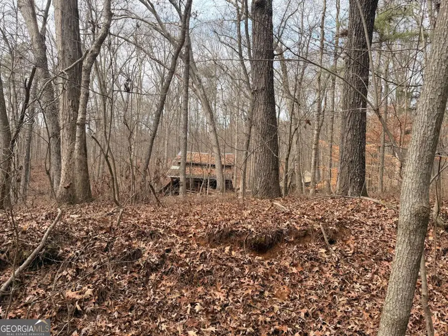 1830 Us Highway 27 N, Bremen, GA 30110 - Image #2