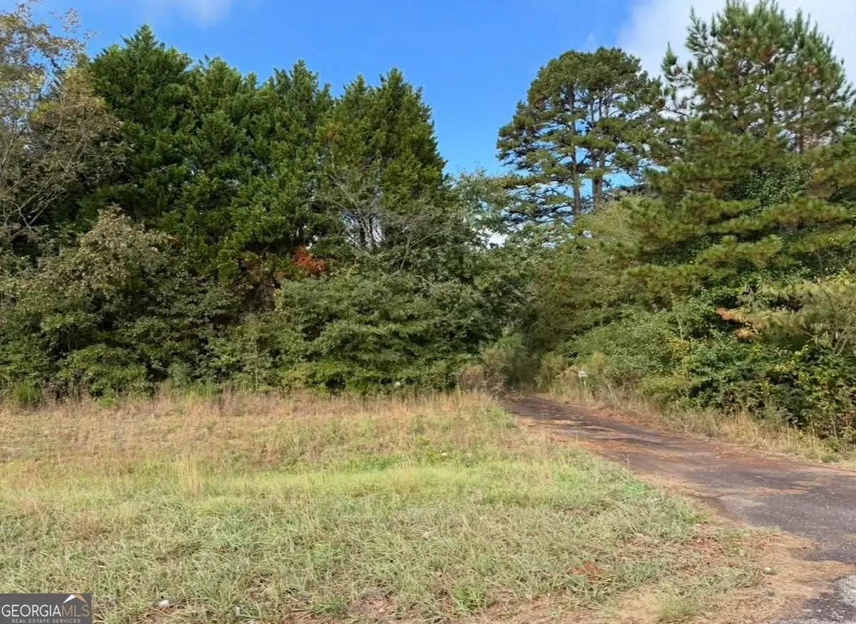 3238 S Ola Road, Locust Grove, GA 30248 - Image #1