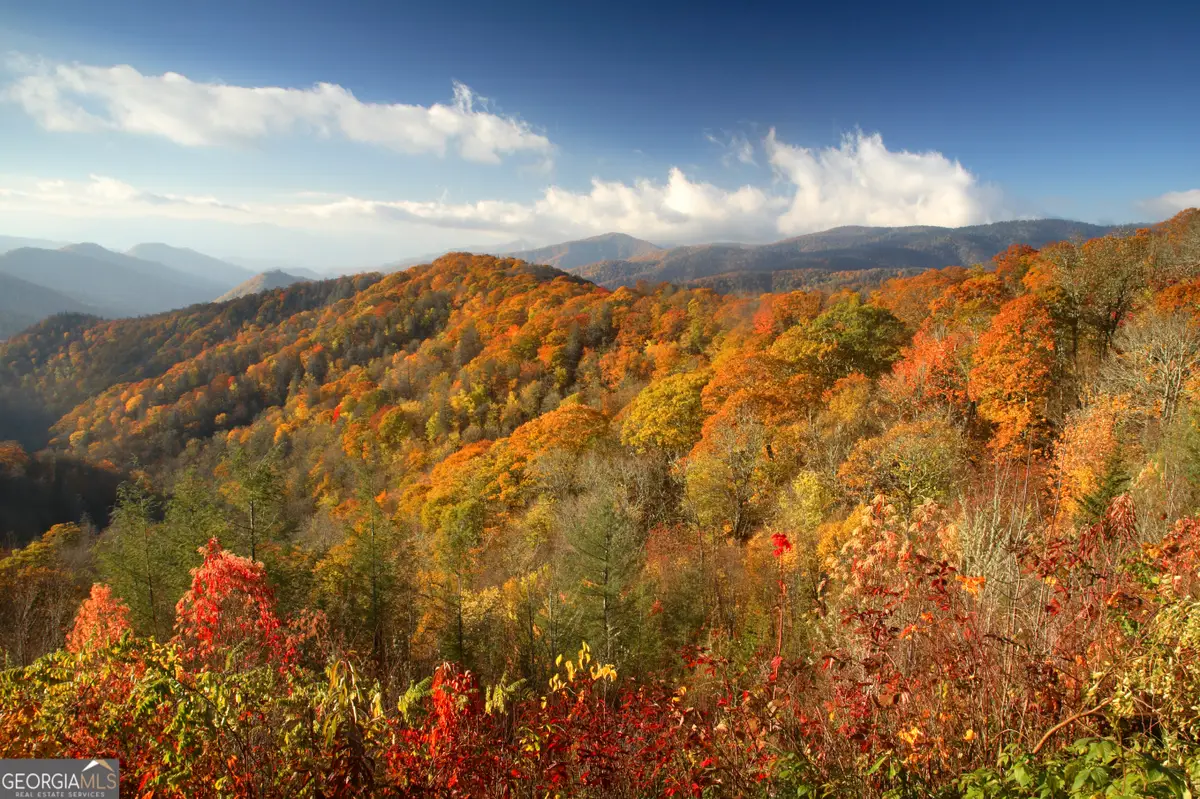 LOT #37 Anderson Drive, Clayton, GA 30525 - Image #1