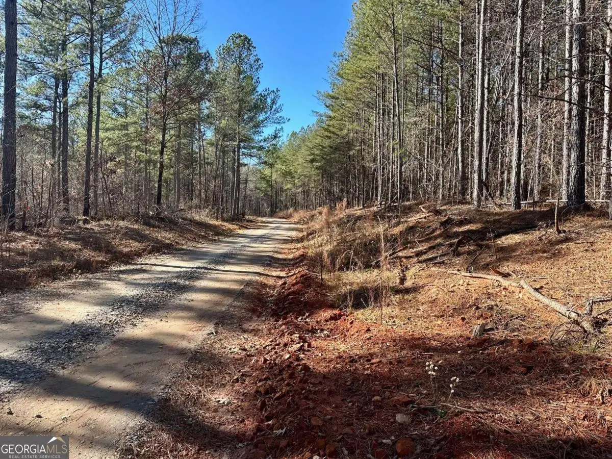 1107 Larmon Forks Road, Dahlonega, GA 30533 - Image #1