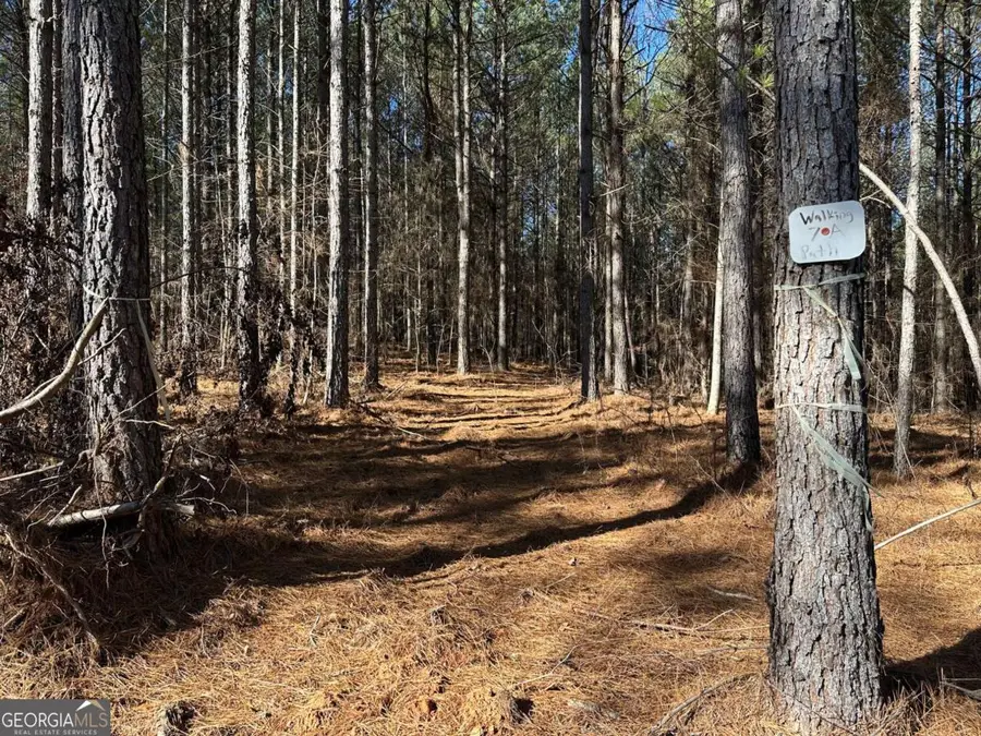 1107 Larmon Forks Road, Dahlonega, GA 30533 - Image #3