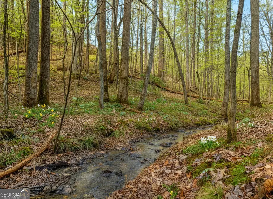 6.44 Whispering Oaks Drive, Ellijay, GA 30560 - Image #3