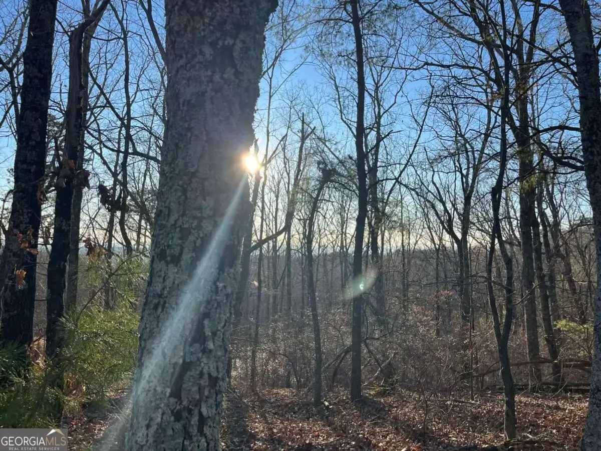 1171 Hunter Drive, Ranger, GA 30734 - Image #1