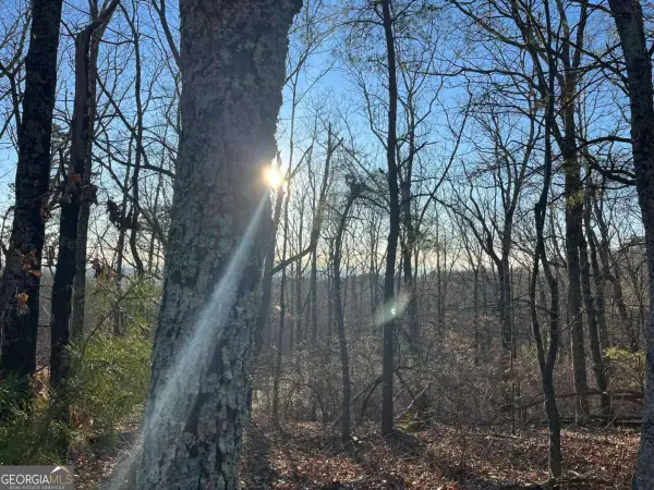 1171 Hunter Drive, Ranger, GA 30734