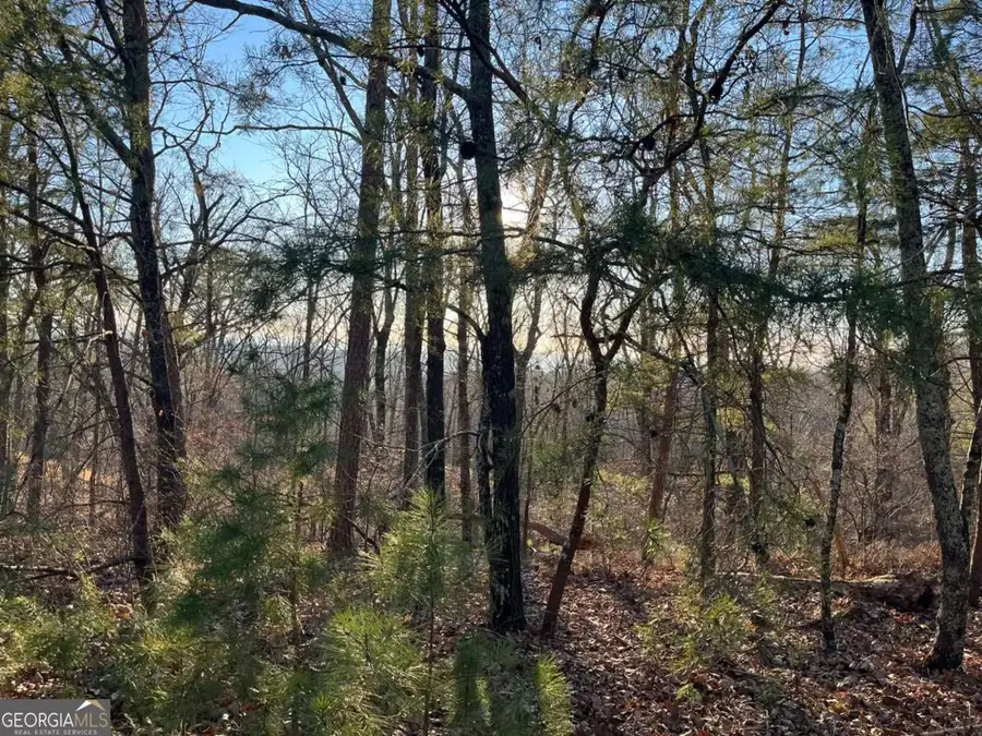 1171 Hunter Drive, Ranger, GA 30734 - Image #2