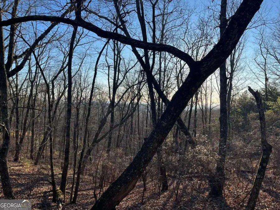 1171 Hunter Drive, Ranger, GA 30734 - Image #3