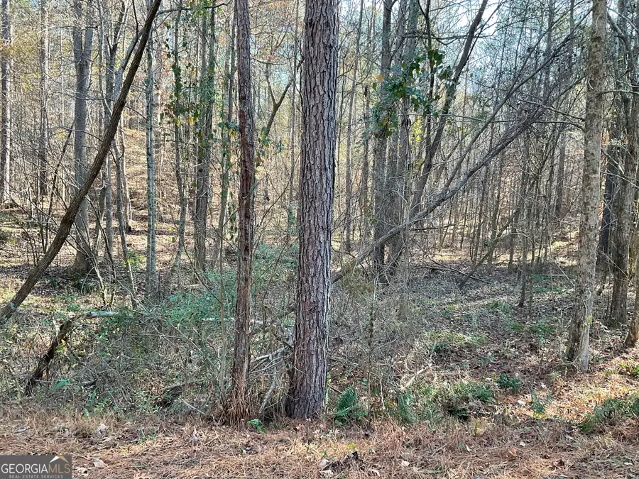 0 Erskine Drive, Monticello, GA 31064 - Image #2