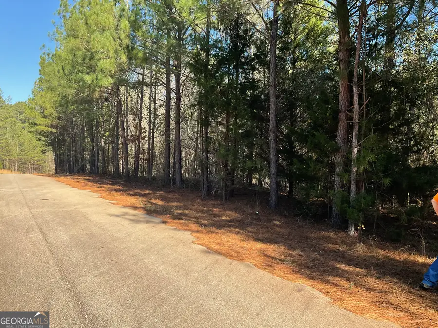 0 Erskine Drive, Monticello, GA 31064 - Image #3