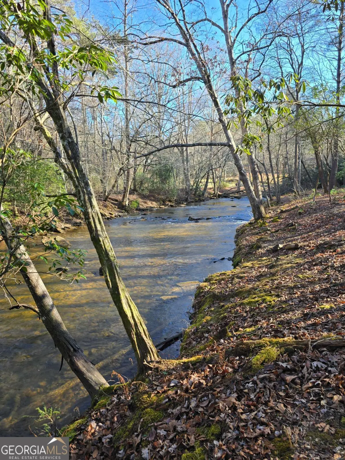 LOT 11B Spence Road, Epworth, GA 30541 - Image #1