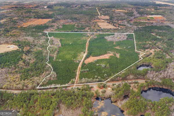 0 Jacob Wilkinson Cir, Claxton, GA 30417