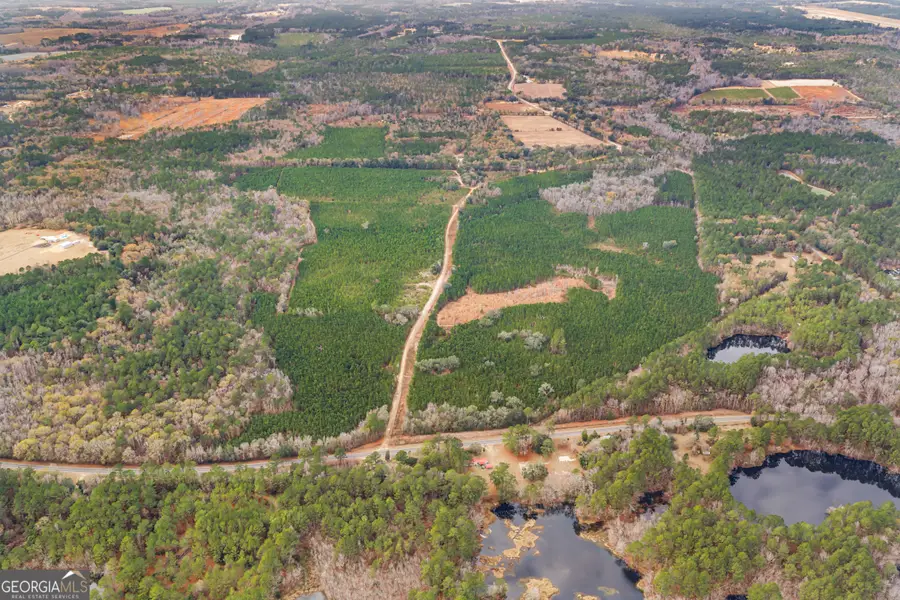0 Jacob Wilkinson Cir, Claxton, GA 30417 - Image #2