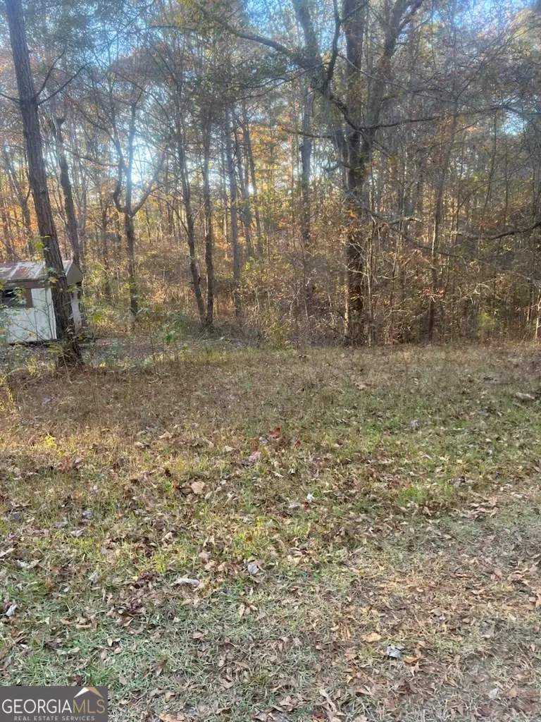 1239 Cross Plains Road, Carrollton, GA 30116 - Image #3