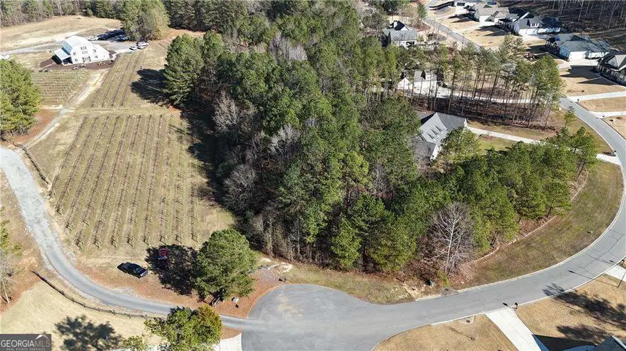 LOT 39 The Flower Farm, Acworth, GA 30101 - #3