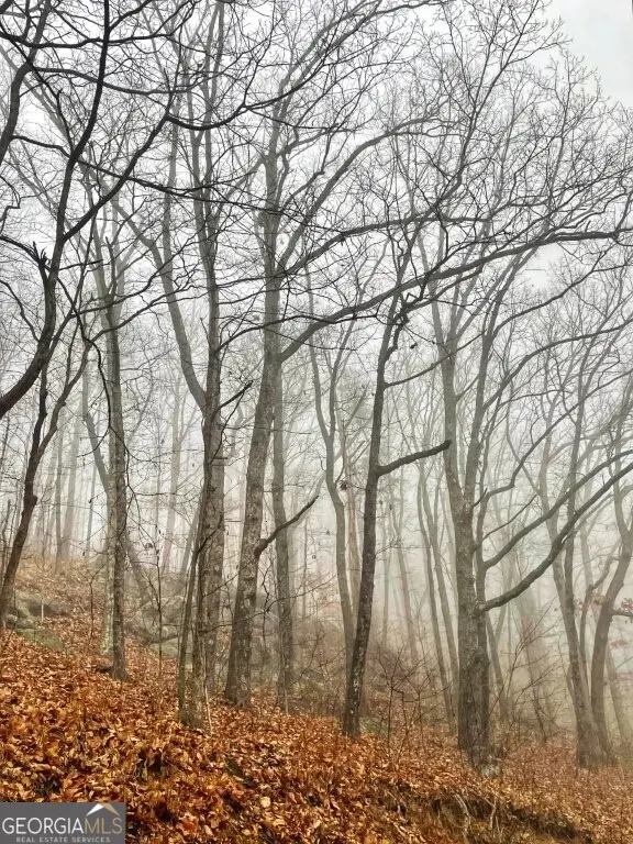 0 Fox Mountain Road, Hiddenite, NC 28636 - Image #3