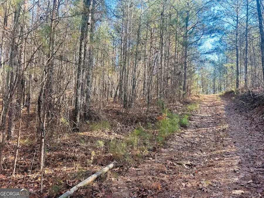 0 Bluff Springs Road, Ashland, AL 36251 - Image #2