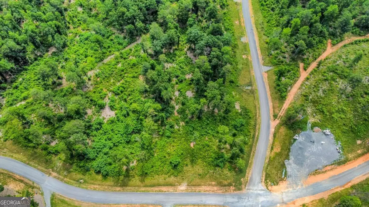 LOT 128 Twisted Oak Road, Talking Rock, GA 30175 - Image #1