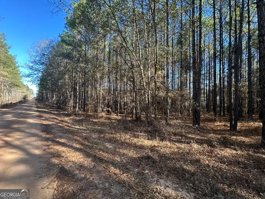 0 Harmony Lane, Milan, GA 31060 - #2