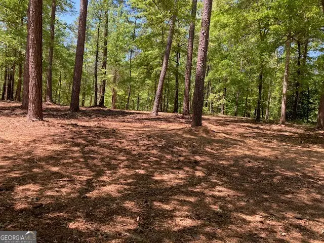 0 Evergreen Road, Dublin, GA 31021 - Image #3