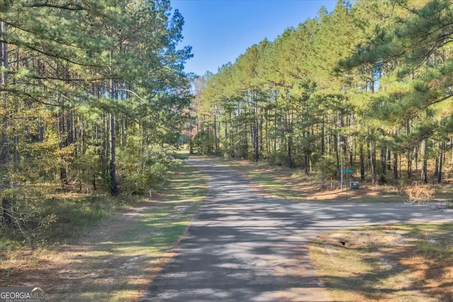 LOT 18 Sweet Magnolia Circle, Dublin, GA 31021 - Image #3