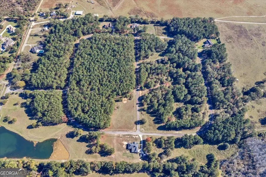 LOT 19 Sweet Magnolia Circle, Dublin, GA 31021 - Image #3