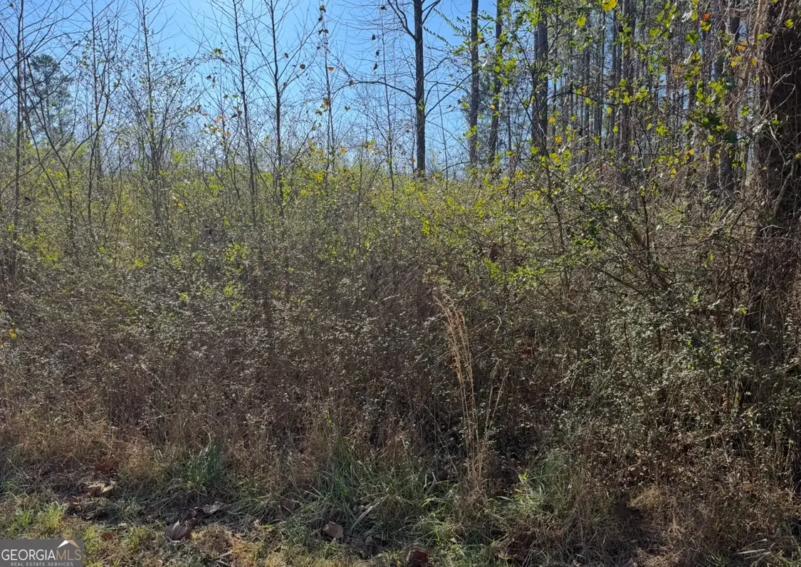 0 Norton Road, Kingston, GA 30145 - Image #1