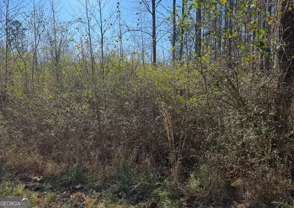 0 Norton Road, Kingston, GA 30145