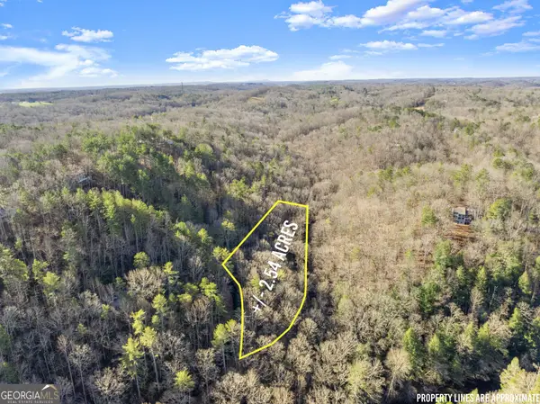 0 River View Lot 13 Trail W, Dahlonega, GA 30533