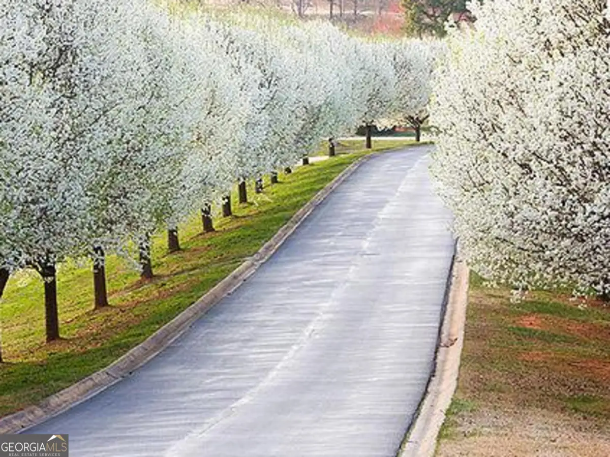 0 Early Red Pippin #1818, Clarkesville, GA 30523 - Image #1