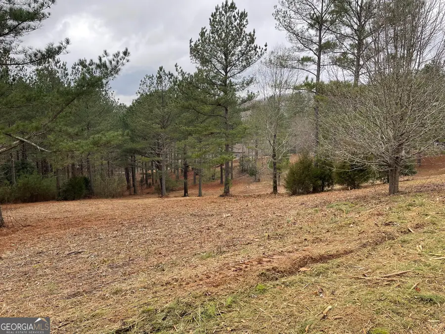 LOT 39 Pinehurst #39, Blairsville, GA 30512 - #2