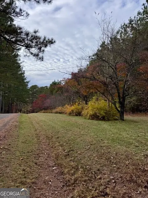 0 Beavers Road, Summerville, GA 30747 - Image #3