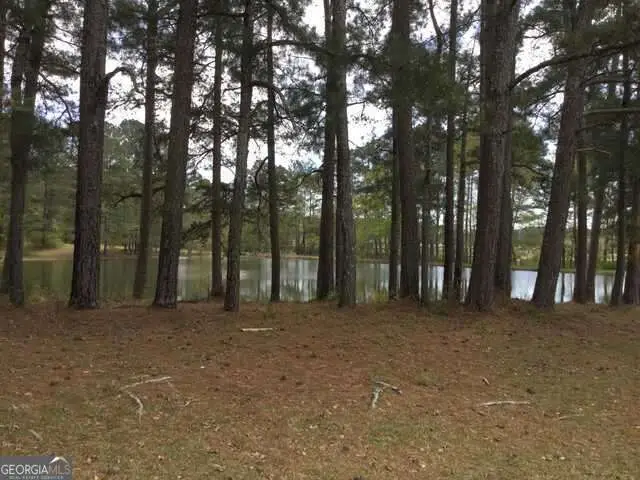 1305 & 1307 Hwy 54 Highway E, Fayetteville, GA 30214 - Image #2