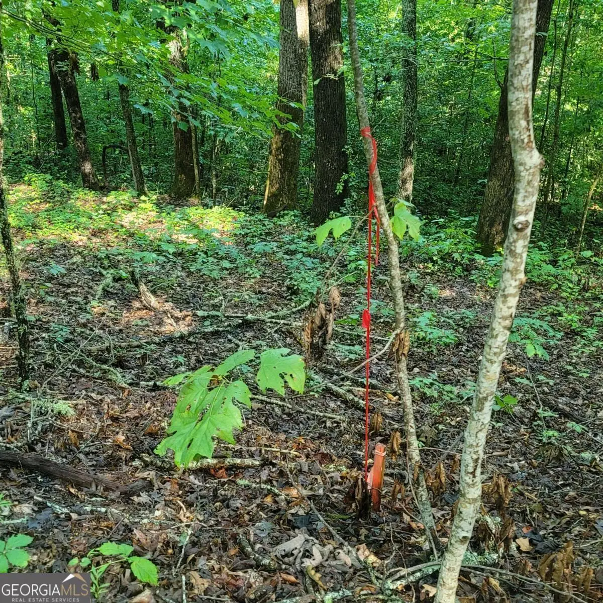 154-5 Dogwood Circle, Hayesville, NC 28904 - Image #1