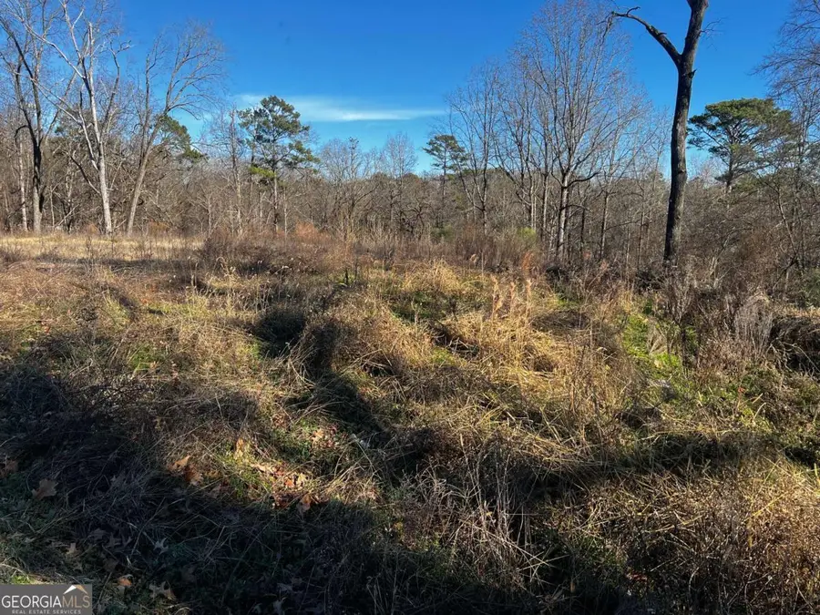 3092 Miller Road, Lithonia, GA 30038 - Image #2