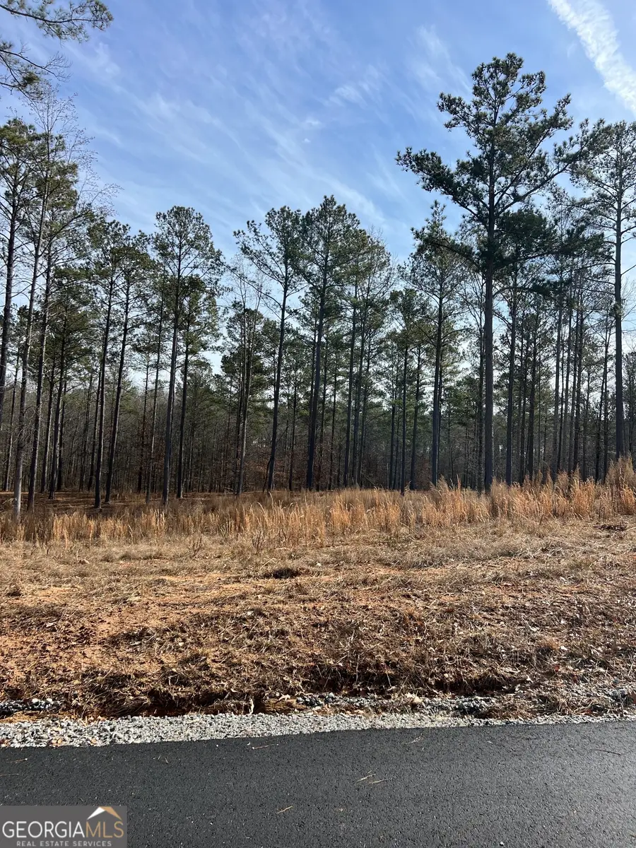 04 Bears Bend, Moreland, GA 30259 - Image #3