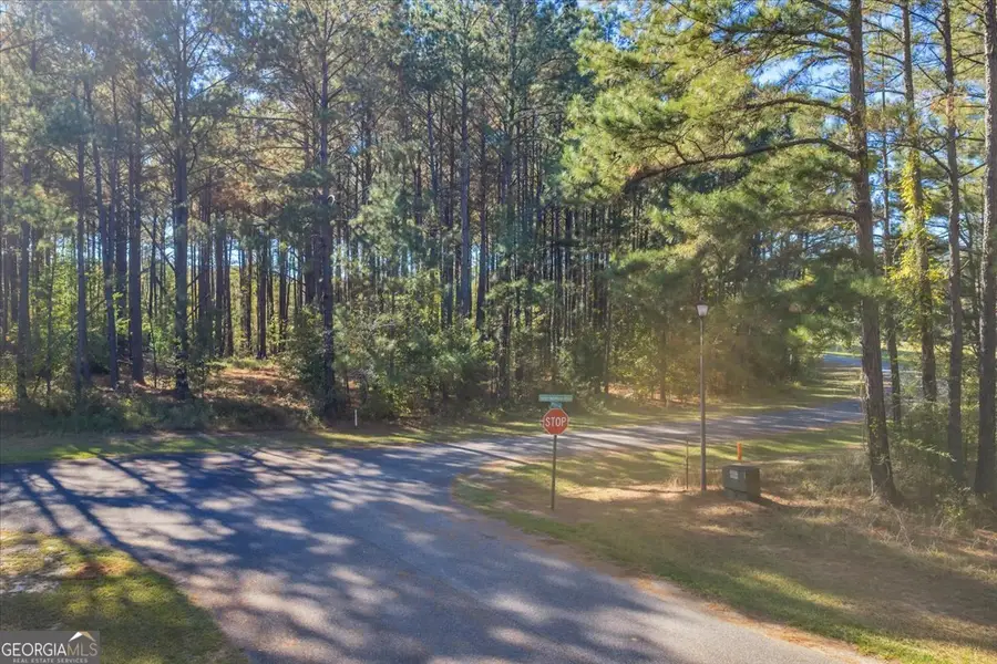 LOT 21 Sweet Magnolia Circle, Dublin, GA 31021 - Image #3
