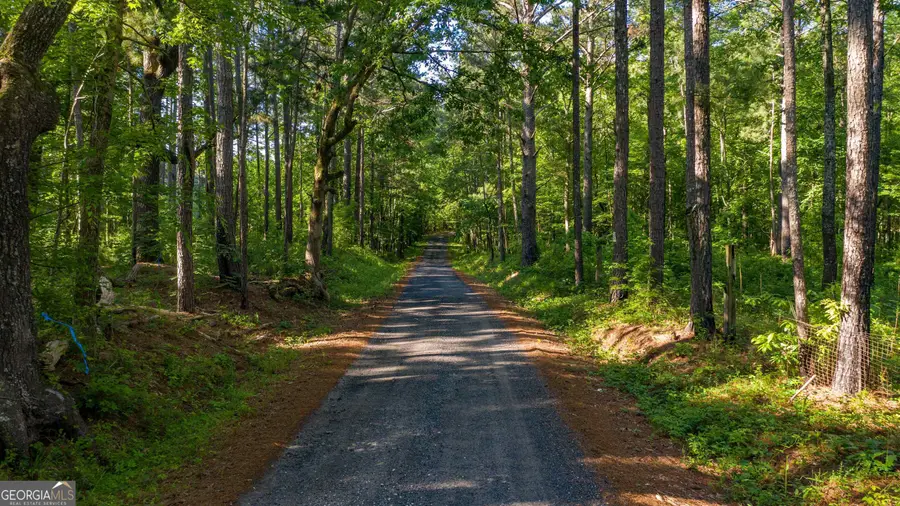 0 Padgett Road #LOT 9, Senoia, GA 30276 - Image #3