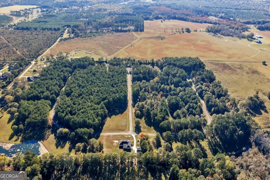 LOT 27 Sweet Magnolia Circle, Dublin, GA 31021 - Image #3