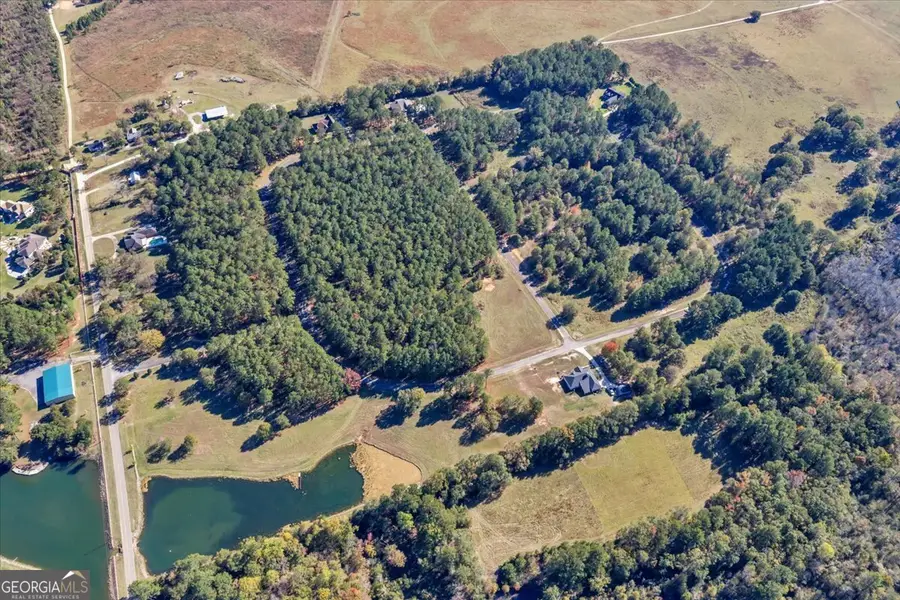 LOT 28 Sweet Magnolia Circle, Dublin, GA 31021 - Image #3