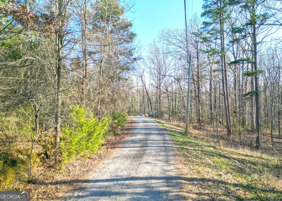 0 Andrews Subdivision Lot 5b & 6, Lavonia, GA 30553 - Image #2