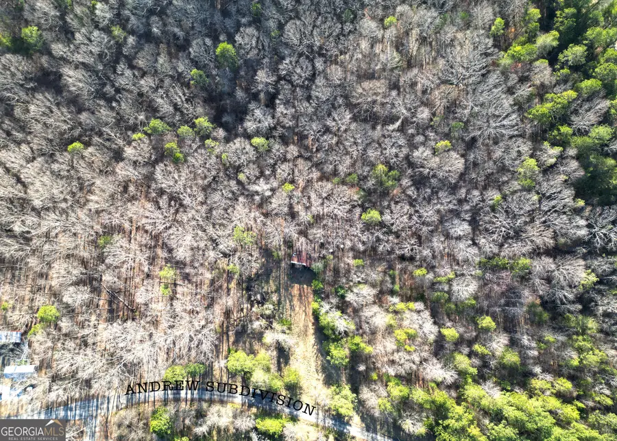 0 Andrews Subdivision Lot 8, Lavonia, GA 30553 - Image #3